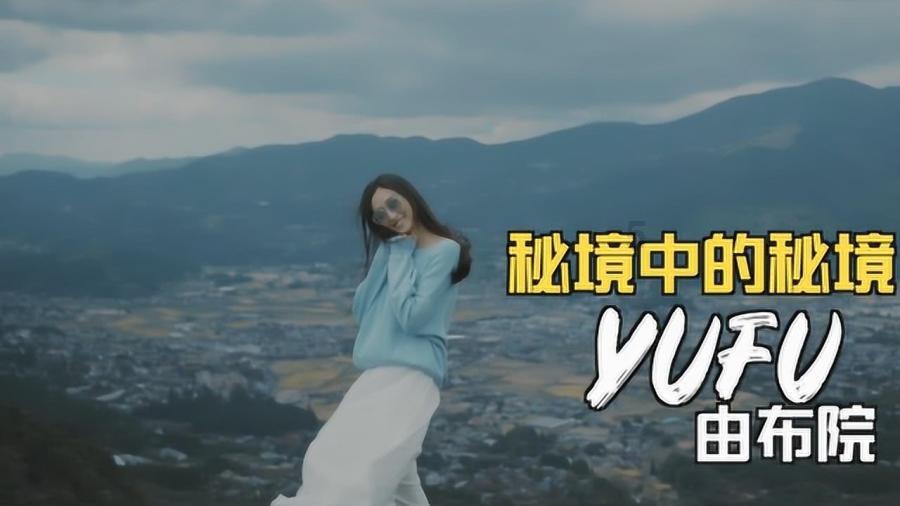 漂亮鹦鹉救援
