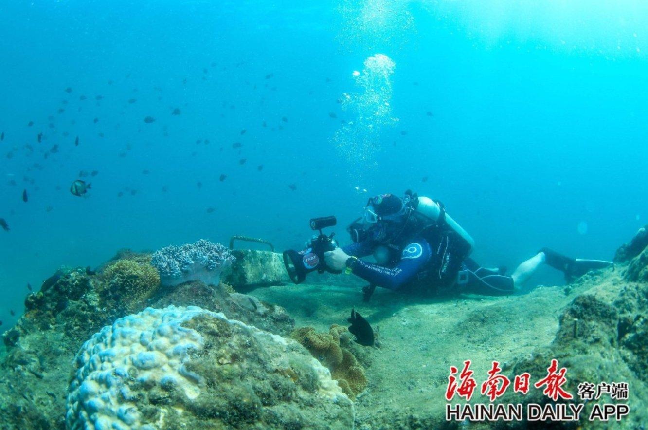 在居住上,都有哪些时尚呢?——最新、最热门的红迪网平台