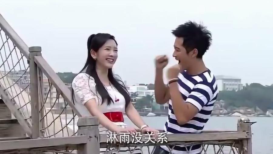 可爱猪救援2